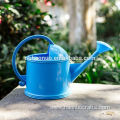 Custom Mini Metal Painting Watering Kettle For Garden